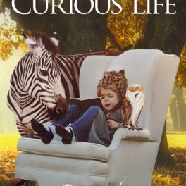the curious life