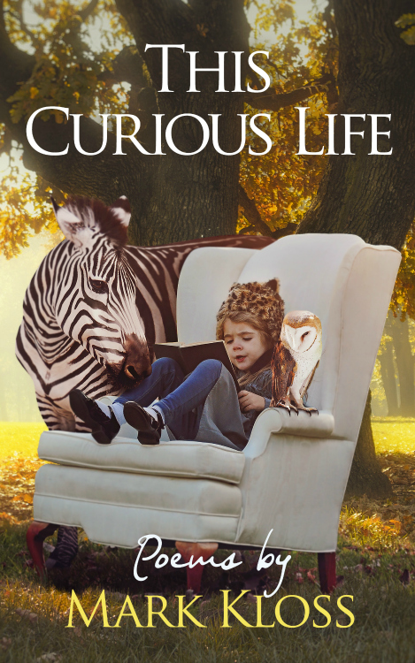 the curious life